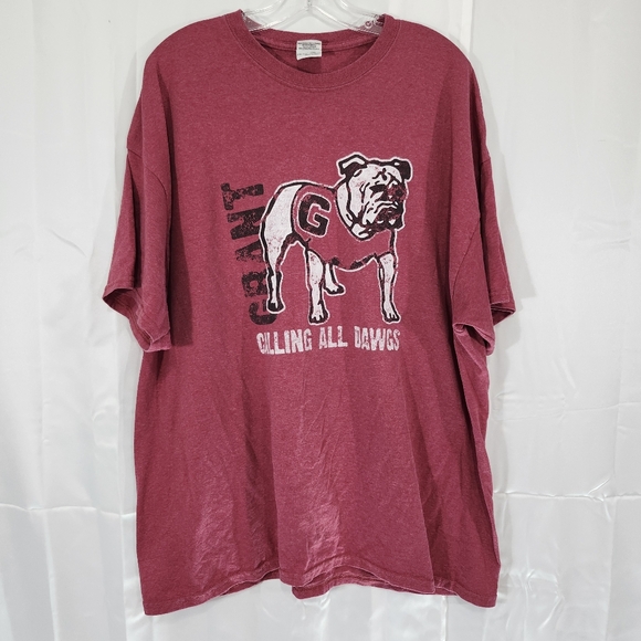 🌼Gildan Size 2XL Ultra Cotton Red T-Shirt - Picture 1 of 7